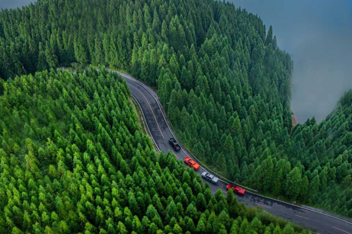 鯊魚王多變體汽車智能皮卡后箱蓋 鯊魚王多變體汽車智能皮卡后箱蓋